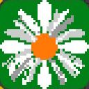 Daisy Chainsサムネイル