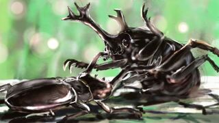画像ファイル「BEETLE」サムネイル