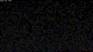 Bouncing Balls Benchmarkサムネイル